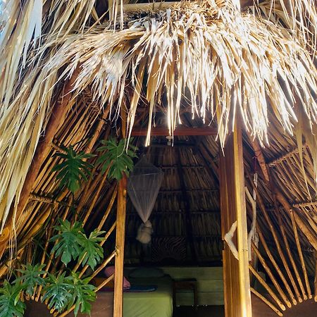 Calypso Cabanas El Paredon Buena Vista Екстер'єр фото