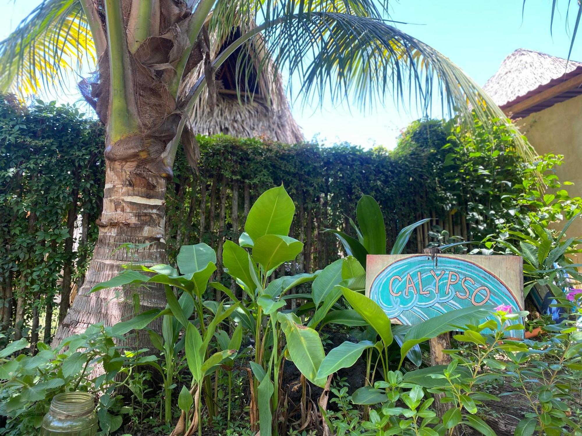 Calypso Cabanas El Paredon Buena Vista Екстер'єр фото